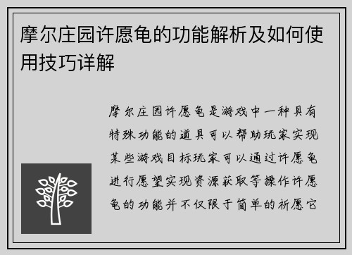摩尔庄园许愿龟的功能解析及如何使用技巧详解